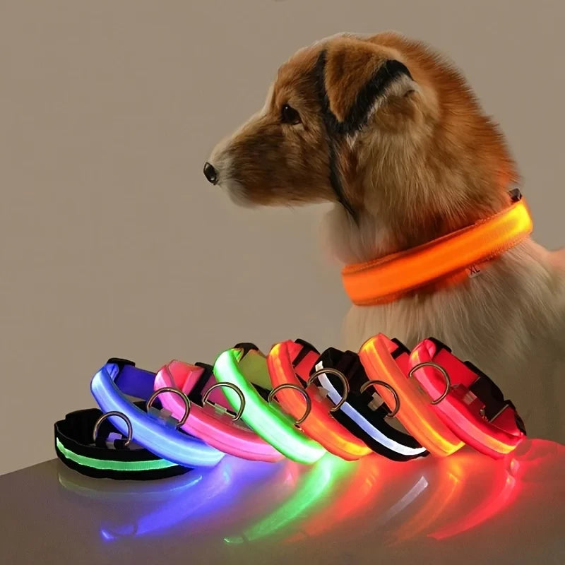 Exclusive LED Light Up Dog Collar