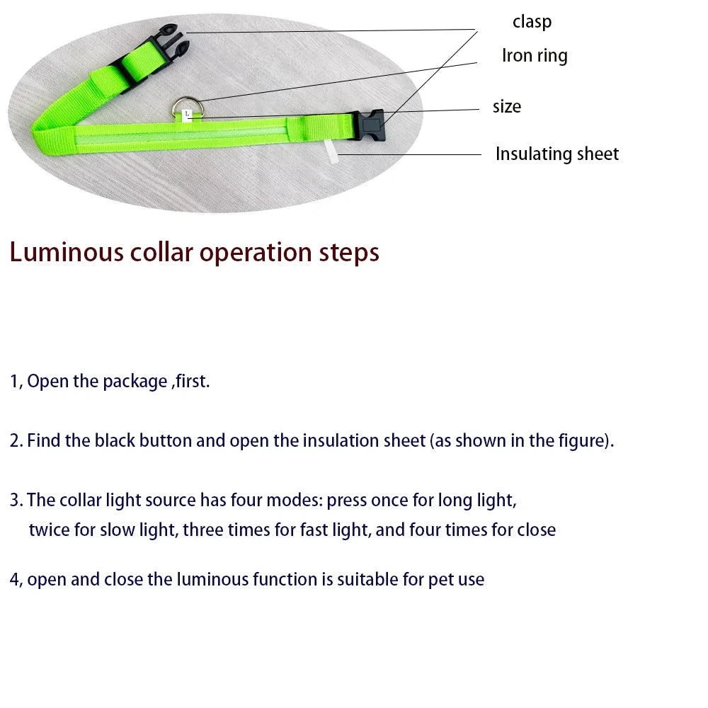 Exclusive LED Light Up Dog Collar