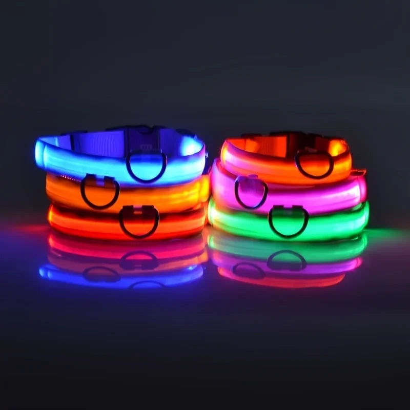 Exclusive LED Light Up Dog Collar