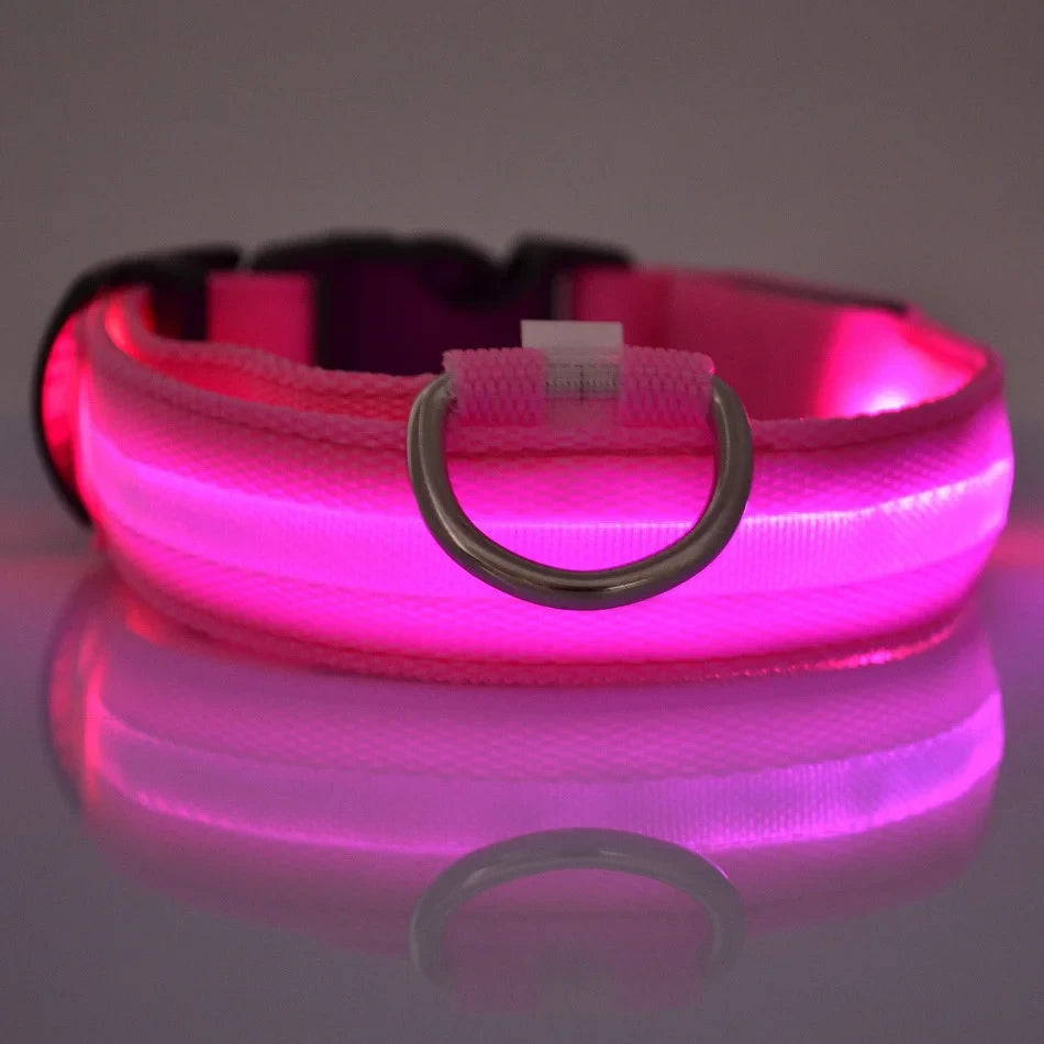 Exclusive LED Light Up Dog Collar